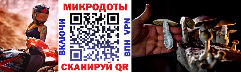 Псилоцибиновые грибы Psilocybe  blacksprut ССЫЛКА  Черемхово 